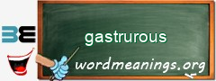 WordMeaning blackboard for gastrurous
